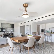 Load image into Gallery viewer, Haywa 28&#39;&#39; Ceiling Fan with LED Lights