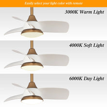 Load image into Gallery viewer, Haywa 28&#39;&#39; Ceiling Fan with LED Lights