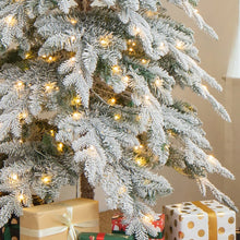 Load image into Gallery viewer, 9&#39; Hersi Slender Flocked/Frosted Spruce Christmas Tree with LED Lights