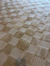 Load image into Gallery viewer, 7&#39;10&quot; x 10&#39; Aalisha Machine Woven Polyester Area Rug in Cream/Beige