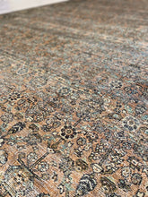 Load image into Gallery viewer, 8&#39;6&quot; x 11&#39;6&quot; Adrian Oriental Indoor Rug by Loloi