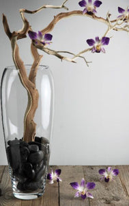 Decorative BLACK Vase Filler Stone in Drawstring Bag - Threshold™