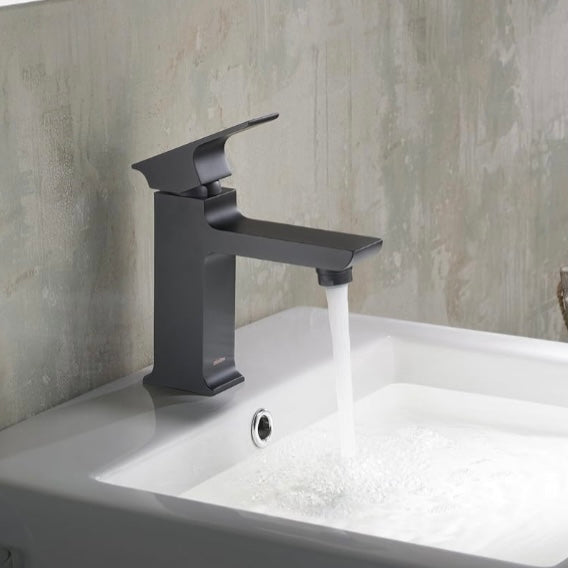 Stufurhome Adler Single Hole Faucet in Matte Black