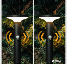 Load image into Gallery viewer, Solar Pathway Lights Outdoor Motion Sensor Landscape Lights Yoolax