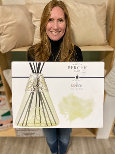 Maison Berger Stark Reed Diffuser