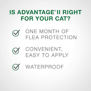 Bayer Advantage II Topical Flea Prevention and Treatment - Large Cats - 4pk
