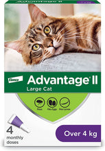 Load image into Gallery viewer, Bayer Advantage II Topical Flea Prevention and Treatment - Large Cats - 4pk